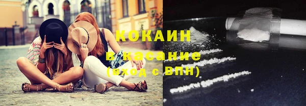молекула духа Арсеньев