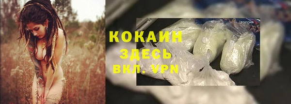 молекула духа Арсеньев