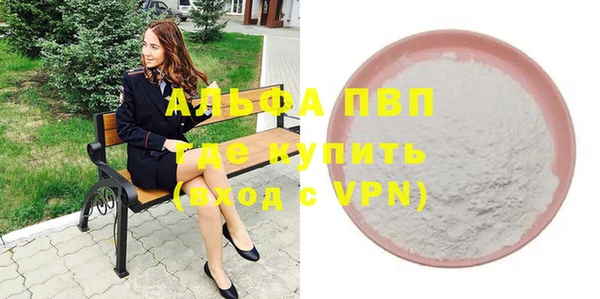 мяу мяу мука Белокуриха