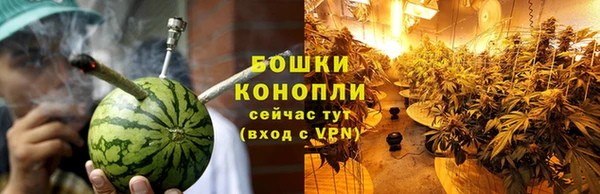 мяу мяу мука Белокуриха